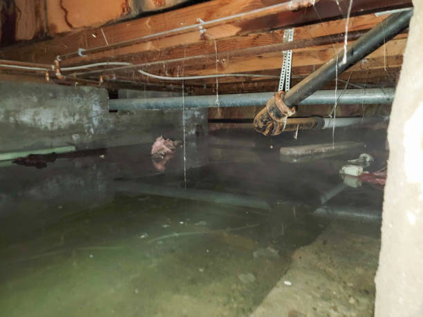 Best Water damage restoration near me  in Poteau, OK